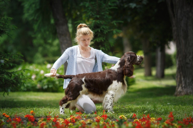 194947-c209d-109546879-m750x740-u2304b.j